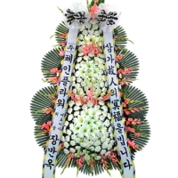 �󼼳��뺸��