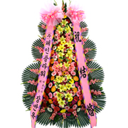 �󼼳��뺸��