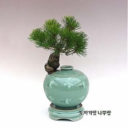 �󼼳��뺸��